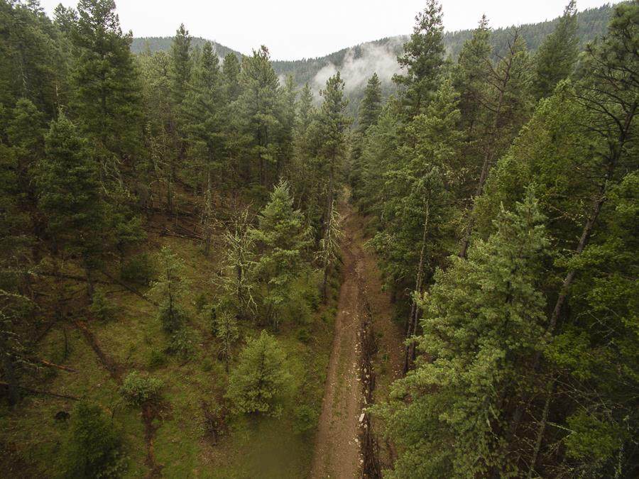250 Dark Canyon Rd - Photo 1