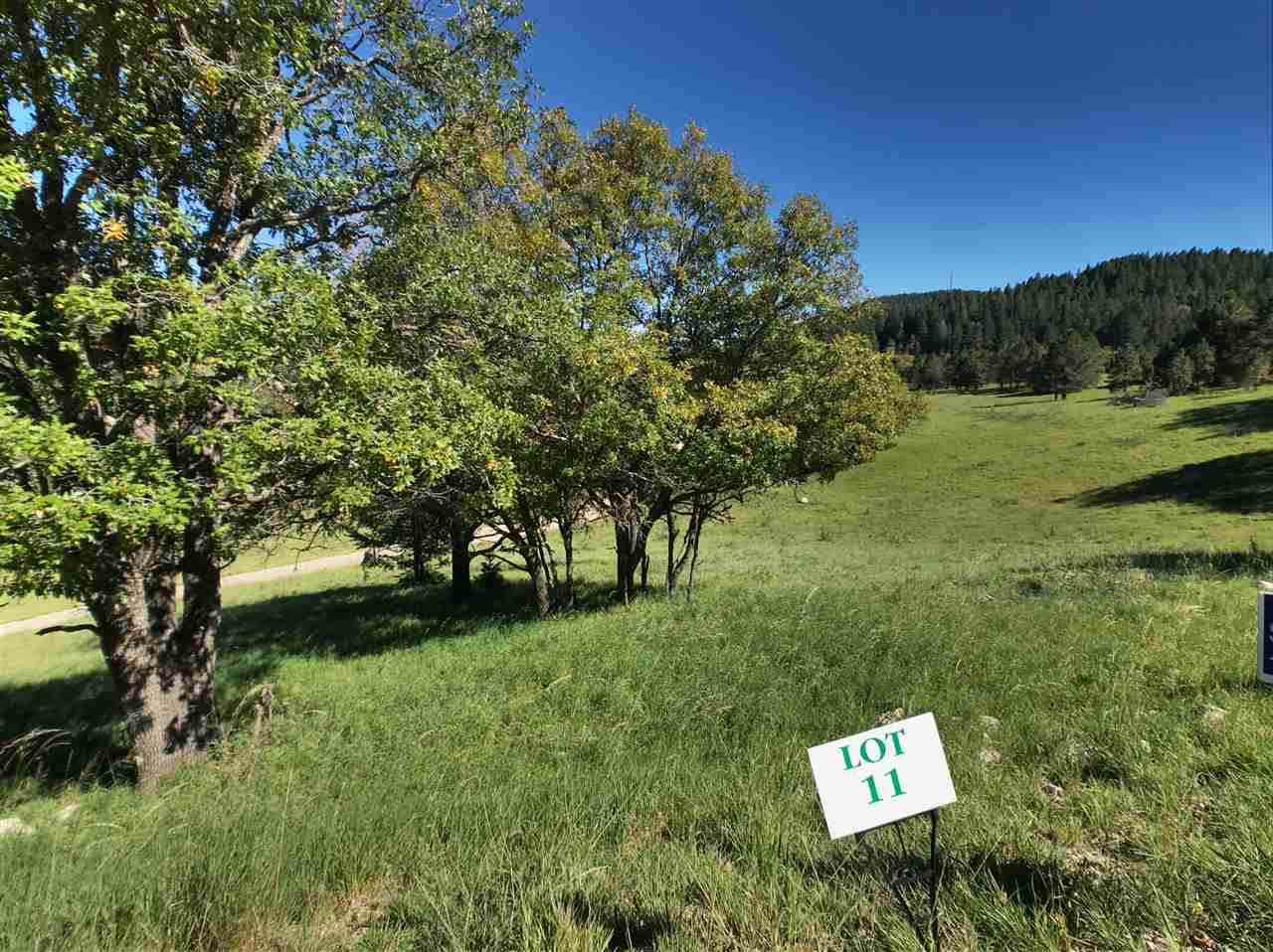 8 Elk Meadows - Photo 1
