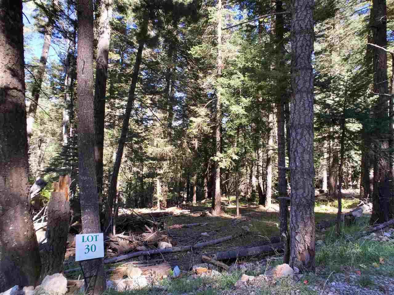 21 Elk Ridge - Photo 1