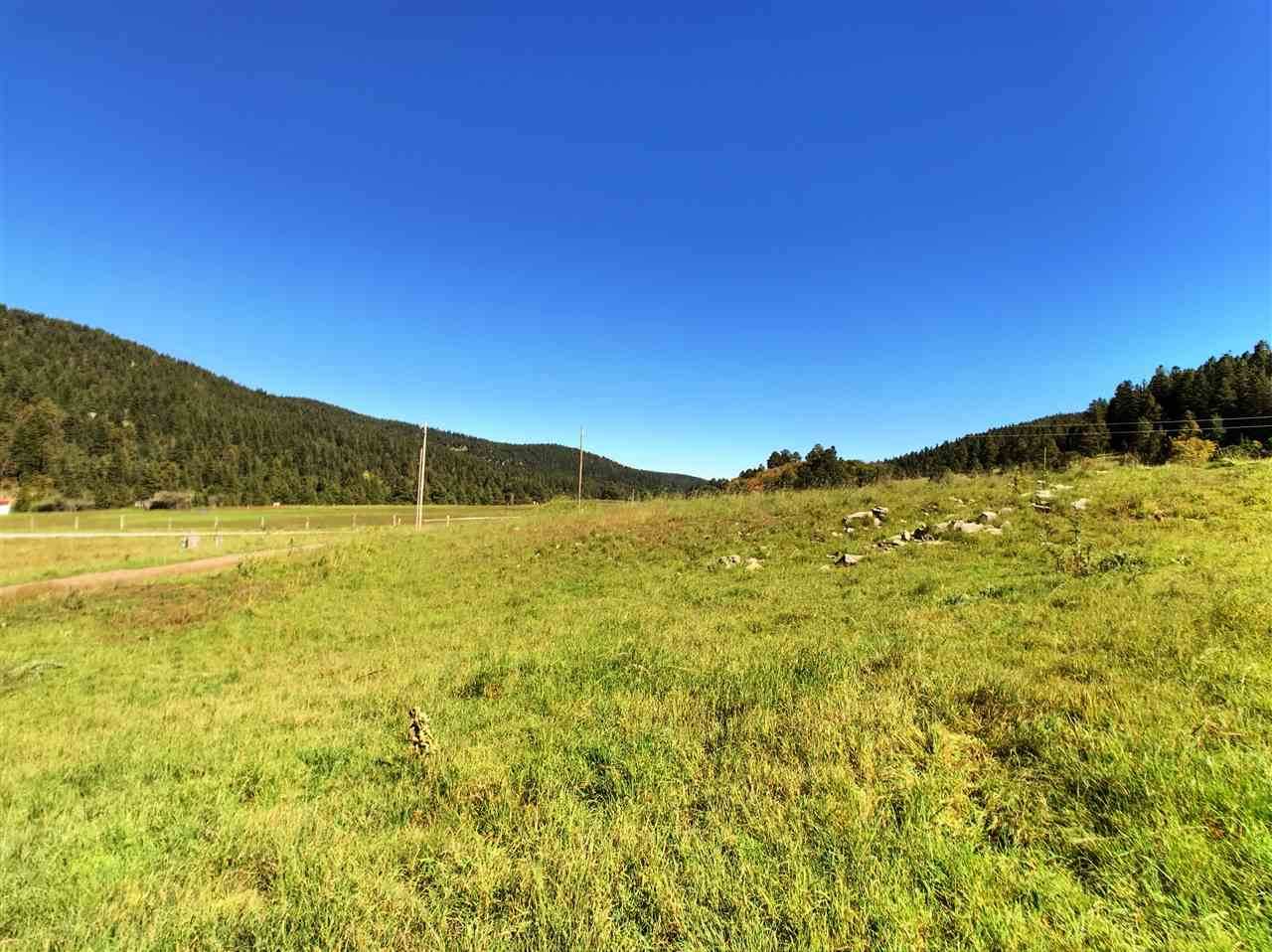 14 Elk Meadows - Photo 1