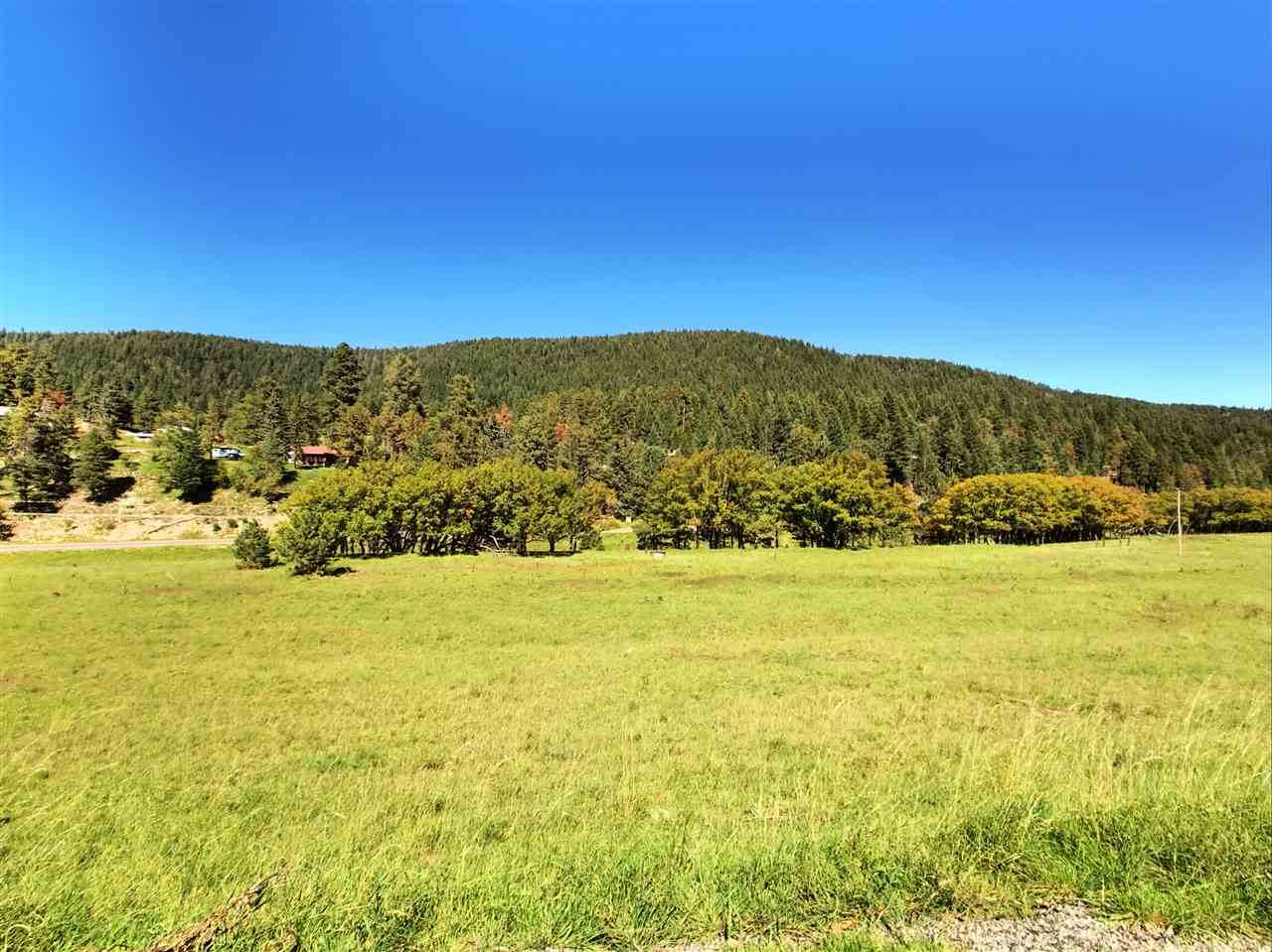 39 Elk Springs - Photo 1