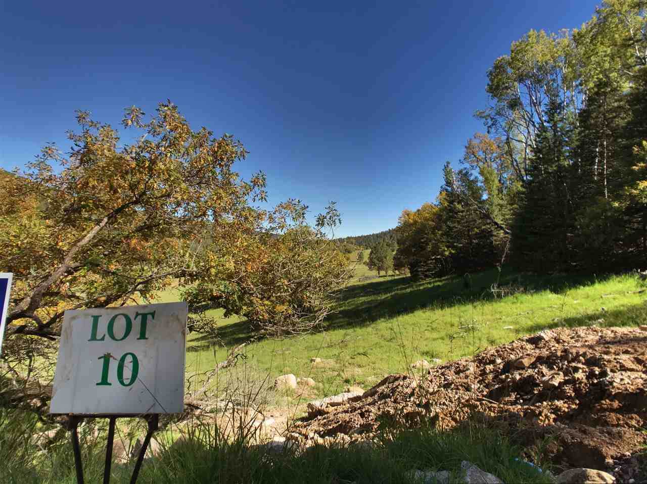 37 Elk Springs - Photo 1