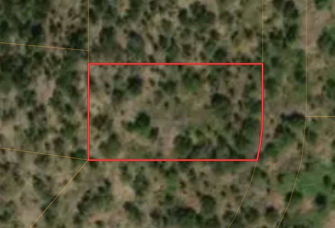 244 Anders Rd - Photo 1
