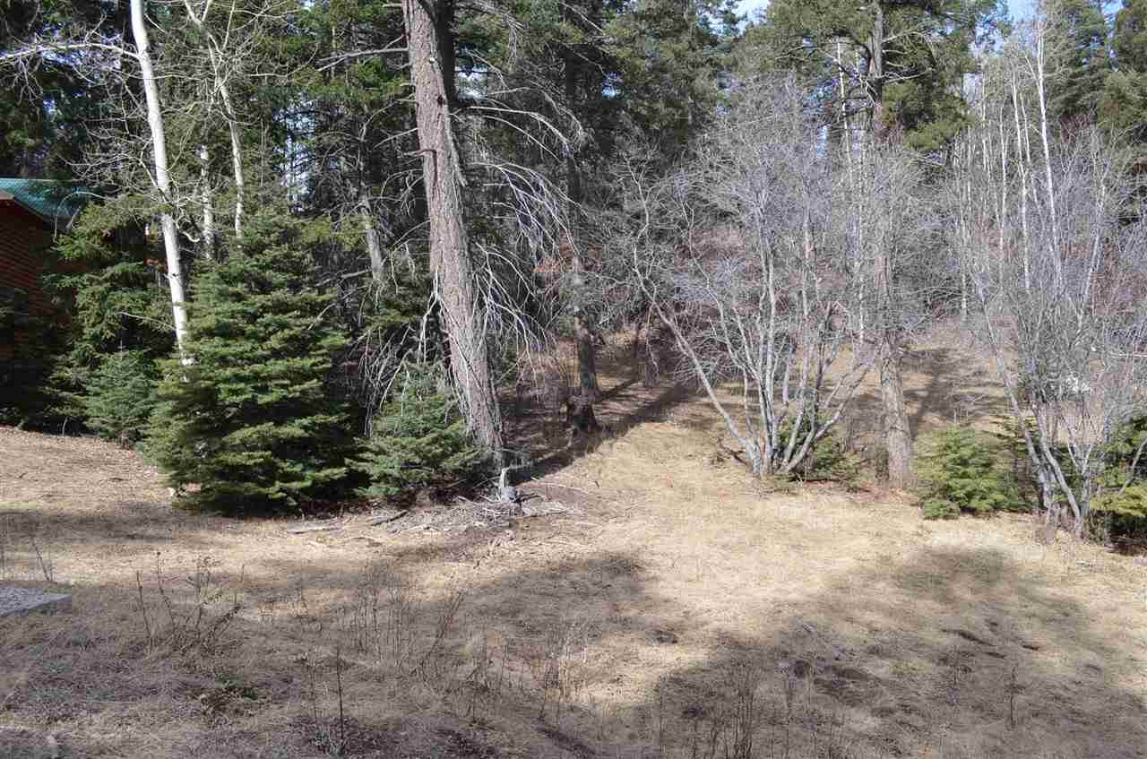 905 Woodlands Way - Photo 1