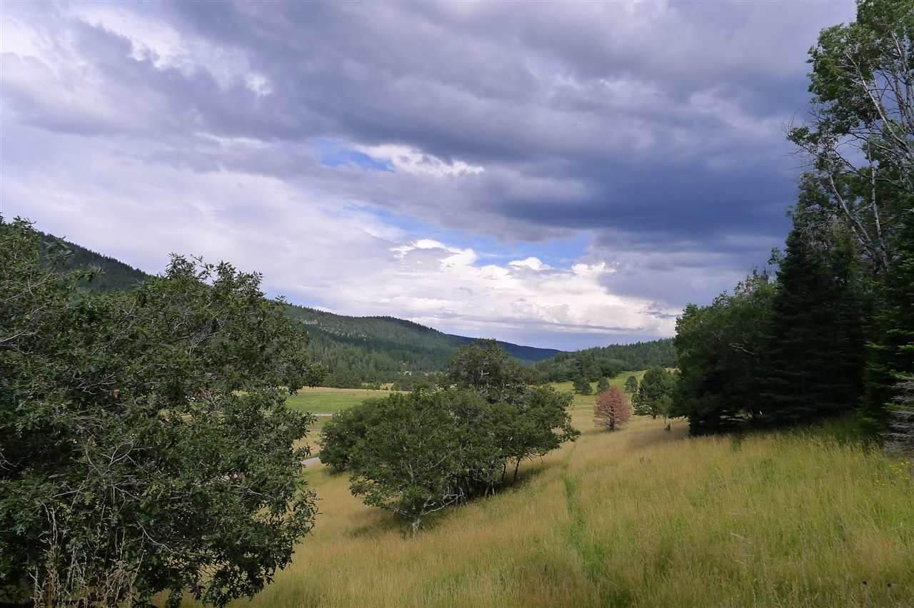 49 Elk Springs - Photo 1