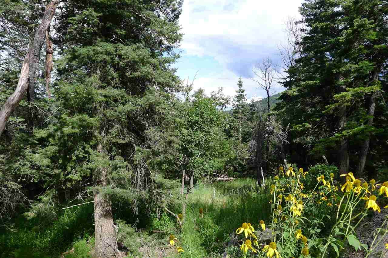 18 Elk Ridge - Photo 1