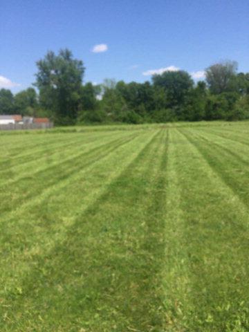1401 Leitchfield Rd - Photo 1