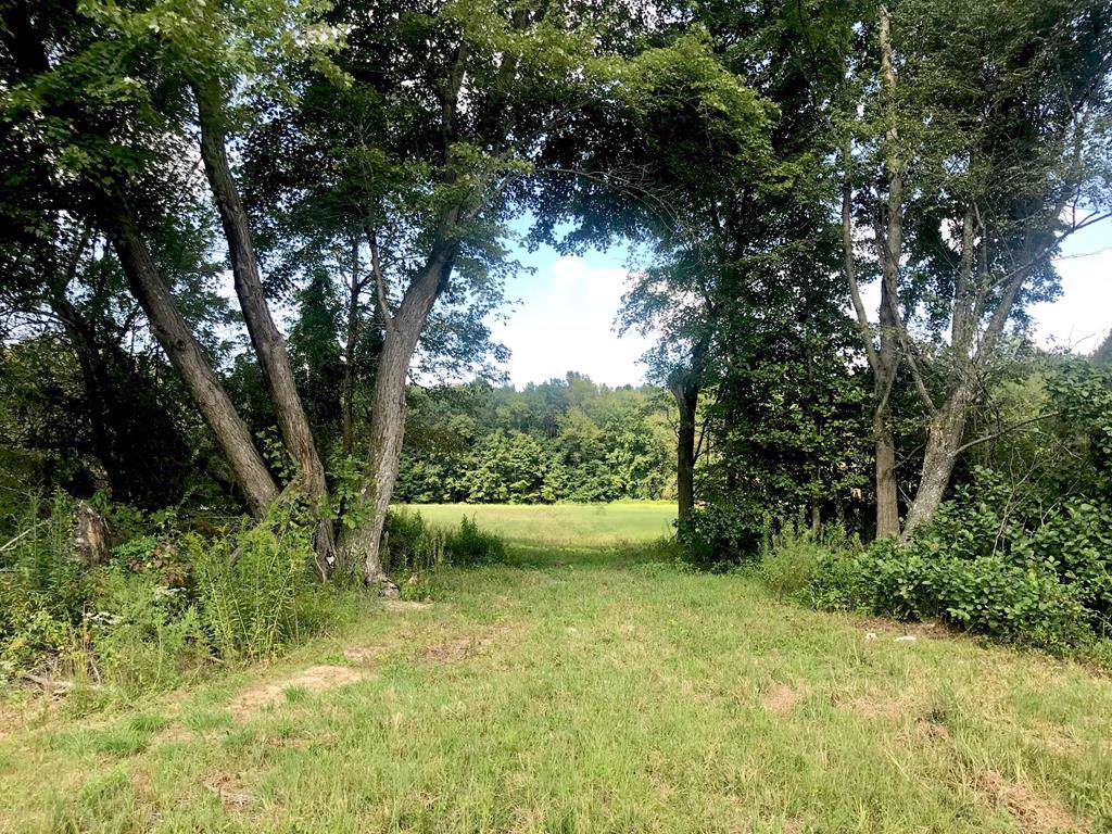 8835 Knottsville Mt Zion Rd - Photo 1