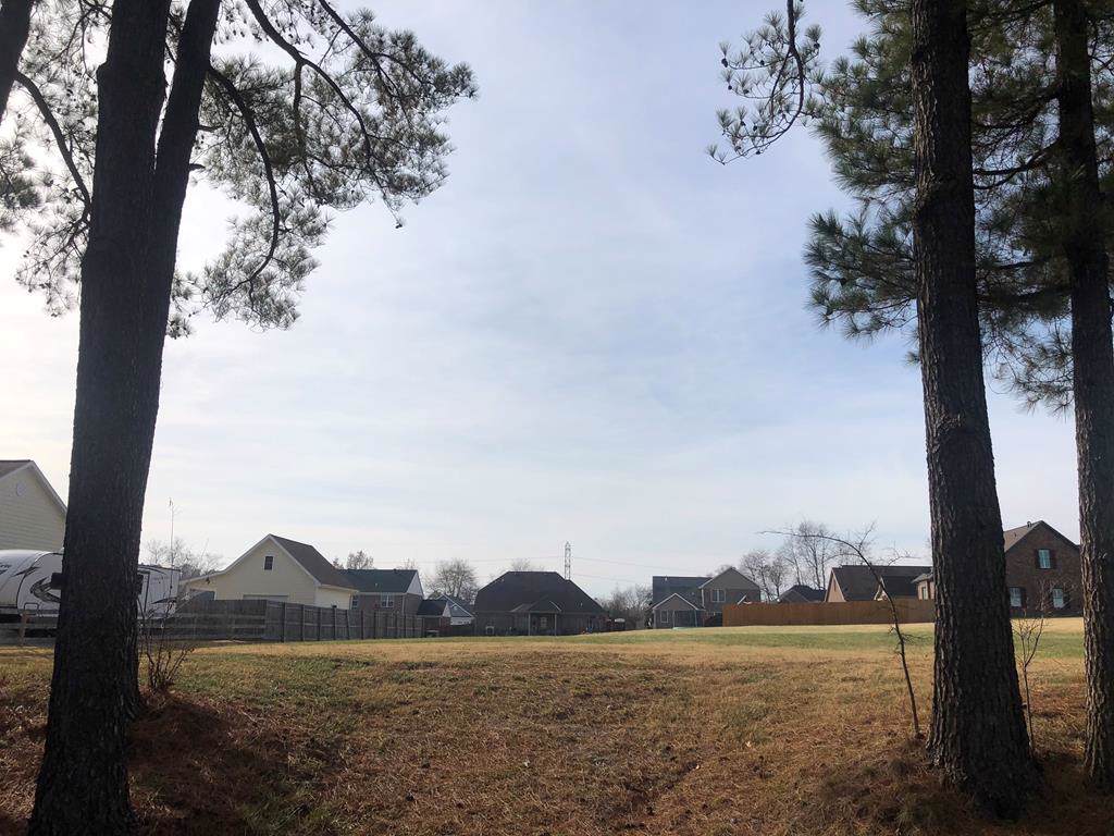 2212 Black Oak Drive - Photo 1
