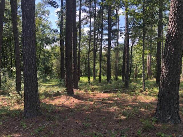 0 Marina Point Ln - Photo 1