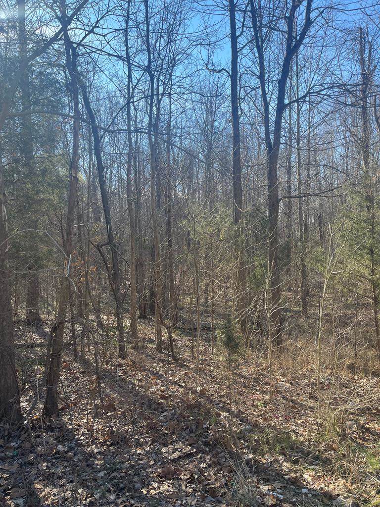 3806 Crane Pond Rd - Photo 1