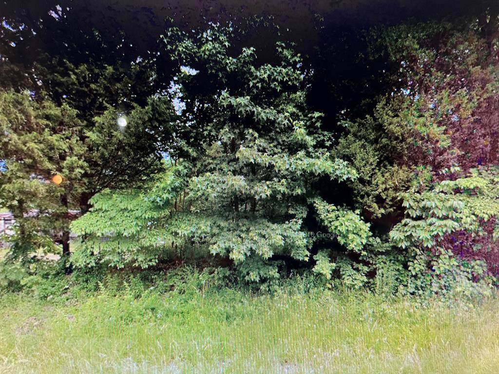 11875 Hwy 144 - Photo 1