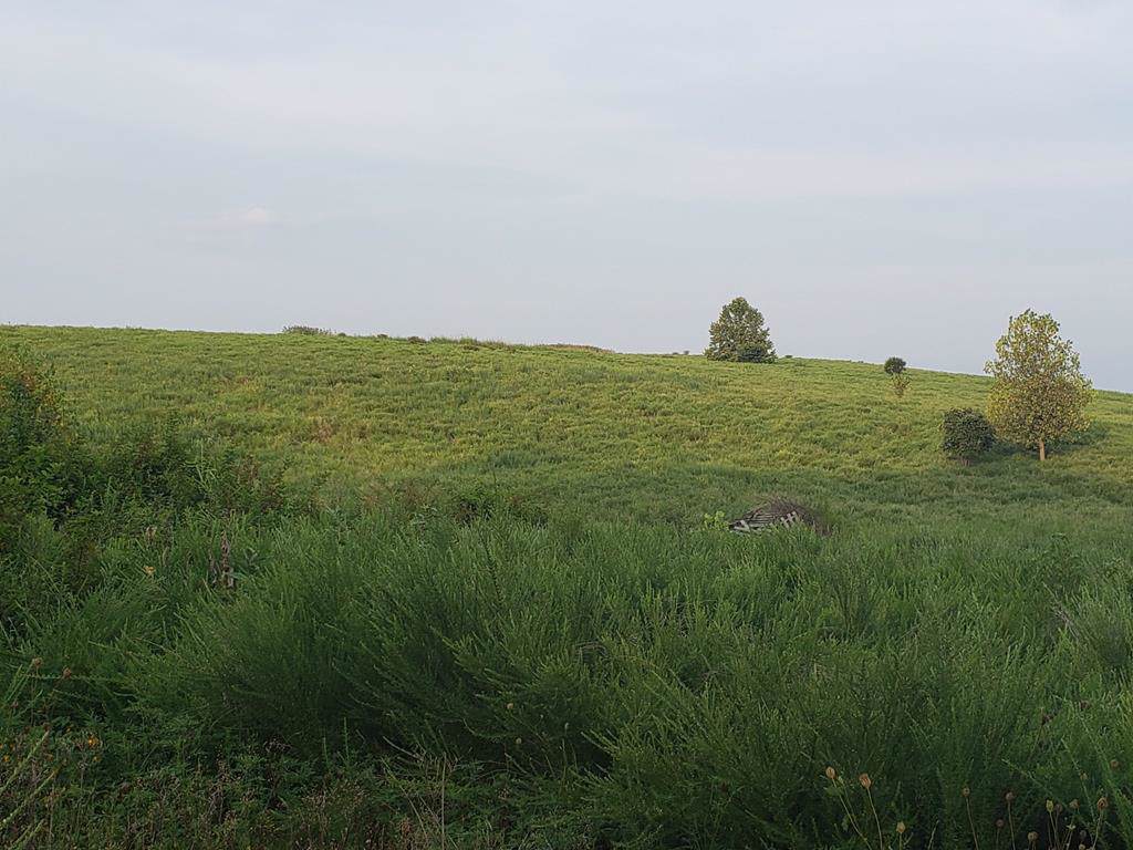 9549 Hwy 815 - Photo 1