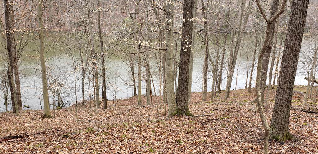 Lot#2 Canyon Run Rd - Photo 1