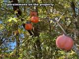 5151 Nash Road - Photo 19