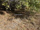 5151 Nash Road - Photo 31
