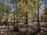 5151 Nash Road - Photo 40