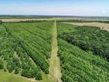 420 Gardner Road - Quitman County - Photo 20