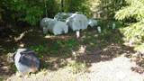 28212 Hwy 310 - Photo 3