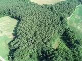 tbd Woods Road - Photo 14