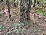 tbd Woods Road - Photo 34