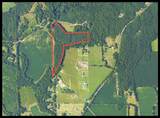 tbd Woods Road - Photo 4