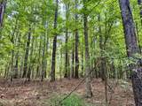 tbd Woods Road - Photo 40