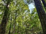 tbd Woods Road - Photo 54