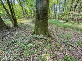 tbd Woods Road - Photo 56