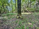 tbd Woods Road - Photo 57
