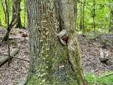 tbd Woods Road - Photo 61
