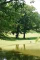 06 Cr 3092 - Photo 51