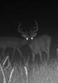 0 Higdon Rd - Photo 21