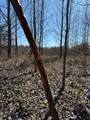 00 Curtis Rd - Photo 13