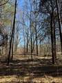 00 S Mt Zion Road - Photo 15