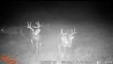 0 County Road 499 - Photo 11