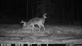 0 County Road 499 - Photo 7