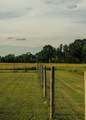 447 County Road 215 - Photo 10