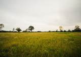 447 County Road 215 - Photo 13