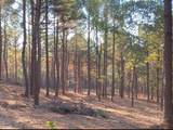 447 County Road 215 - Photo 24