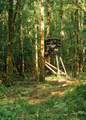 0 331 - Photo 27