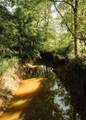 0 331 - Photo 30