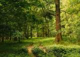 0 331 - Photo 31
