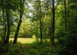 0 331 - Photo 34