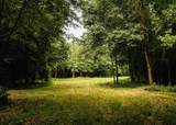 0 331 - Photo 40