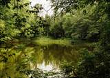 0 331 - Photo 41
