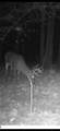 0 331 - Photo 43