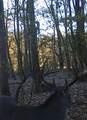 0 331 - Photo 47
