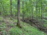 00 Sardis Lake Drive - Photo 16
