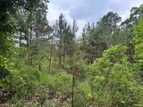 00 Sardis Lake Drive - Photo 9